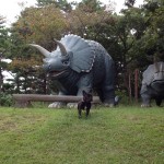 恐竜とフレンチブルドッグ。バッタの脱皮も。