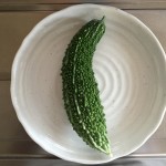 プランターで栽培中のゴーヤ（願寿ゴーヤ）。3ヶ月経過。やっと収穫。